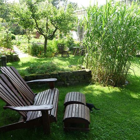 Ferienhaus Gartenlust Dierdorf Pokój zdjęcie